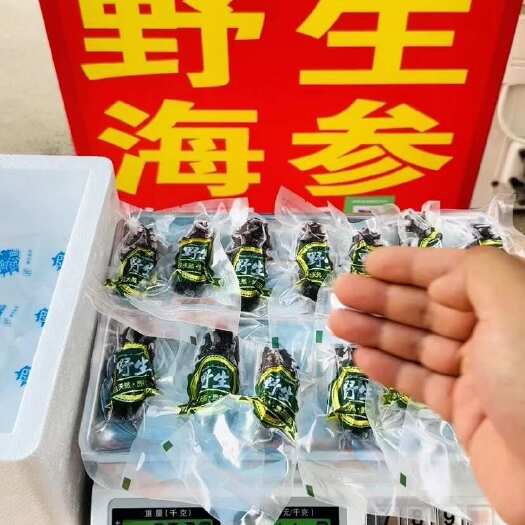 辽阳大连野生海参