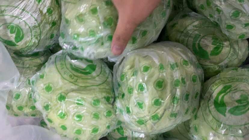 深圳球生菜