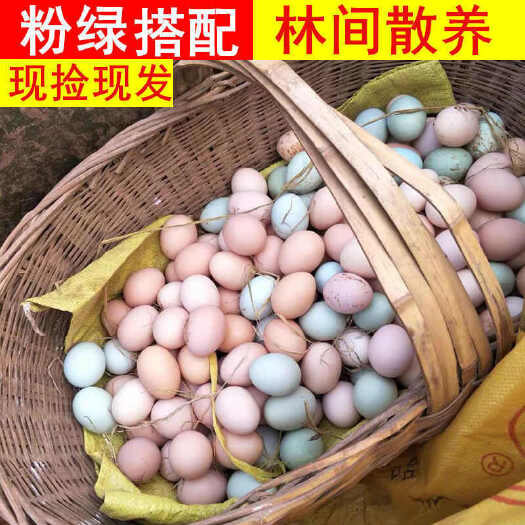 自家鸡场，京山土鸡蛋批发基地直供，土鸡吃玉米小麦稻谷！