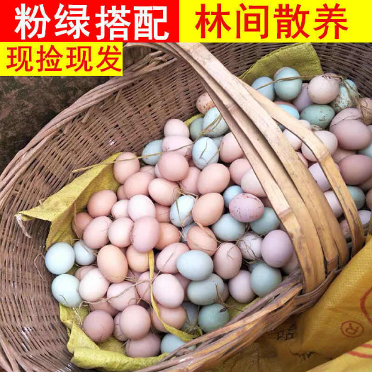 京山市自家鸡场，京山土鸡蛋批发基地直供，土鸡吃玉米小麦稻谷！