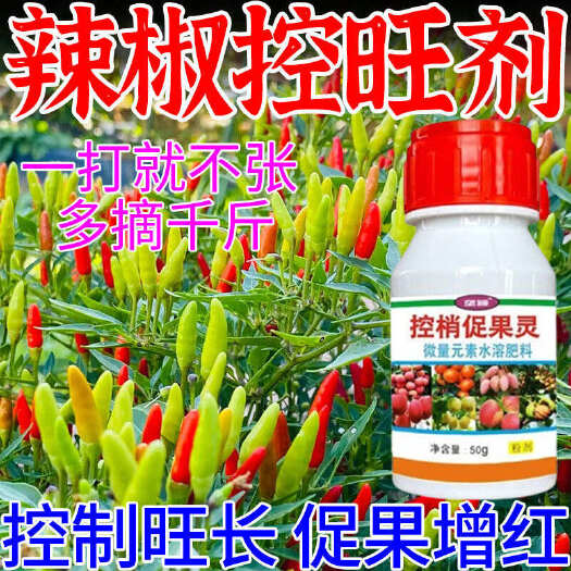 栾川县辣椒控旺快速控秧促果保花保果不伤花果增产增收辣椒专用叶面肥