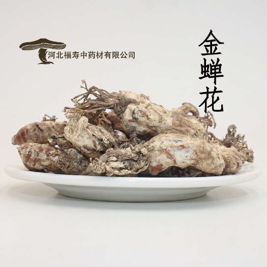 安国市批发金蝉花 蝉茸 冠蝉 知了花 中药材金蝉花诚邀合作