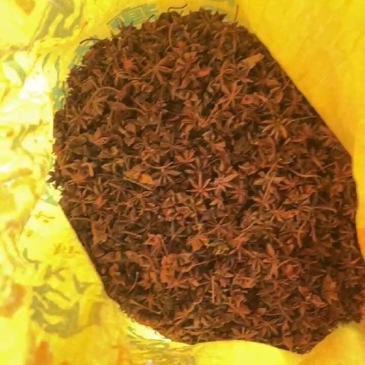 梧州春花八角