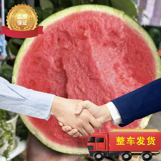 甘肃台农美都无籽西瓜验瓜打包发车一条龙可视频验货