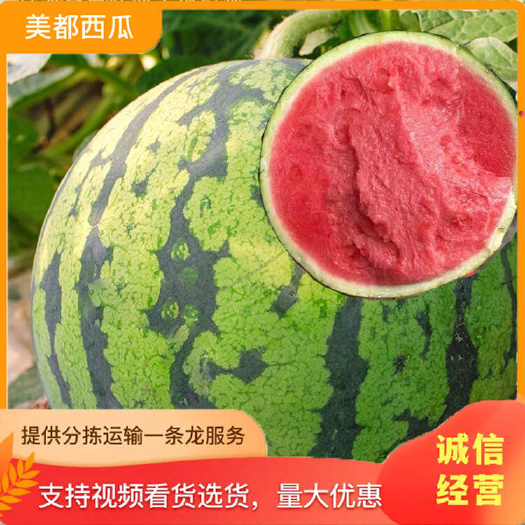 甘肃产区台农精品头茬麒麟无籽美都西瓜高糖度一手货源基地直发