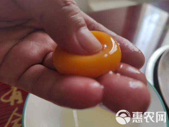 43斤批发粉壳黄心鲜鸡蛋