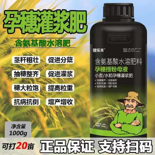 安丘市水稻专用叶面肥水稻高产粒粒饱稻黄金水稻快速抗倒伏增产肥料植物