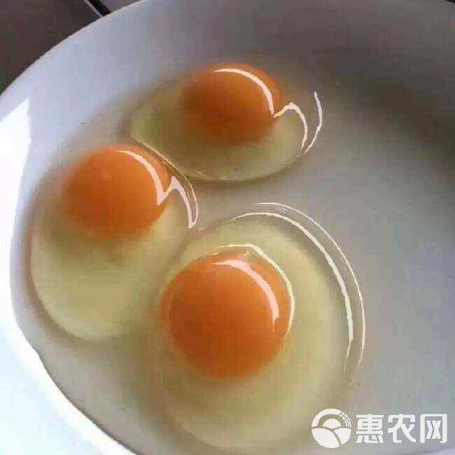 43斤批发粉壳黄心鲜鸡蛋
