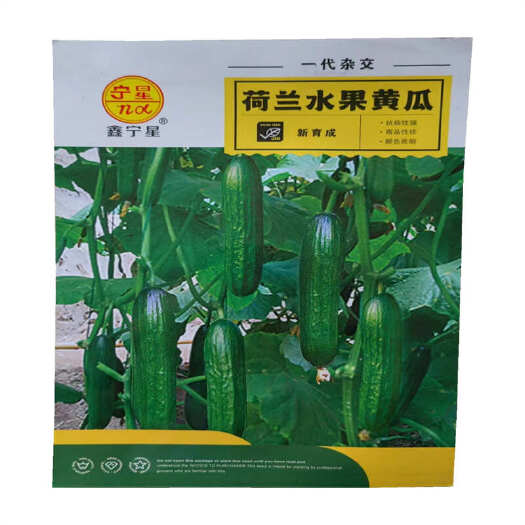 济南荷兰水果黄瓜种子早熟无刺水果黄瓜种子欧果7号四季旱黄瓜