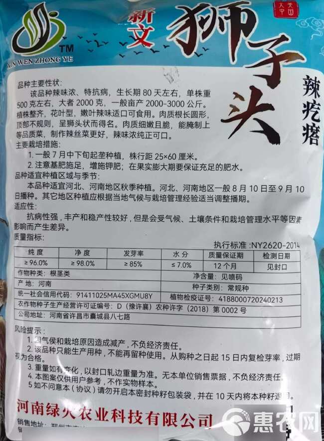 狮子头辣疙瘩芥菜种子 辣味浓 抗病 肉质细嫩且脆