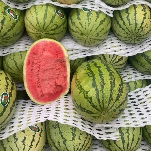 靖远县硒砂瓜