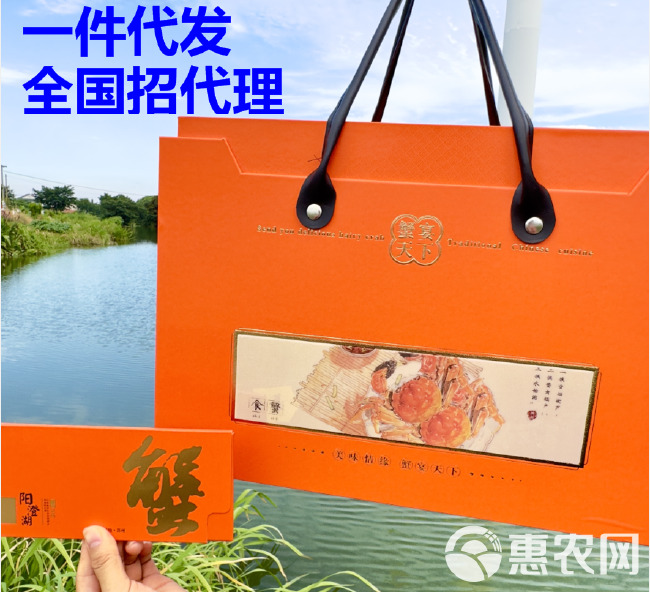 精品阳澄湖镇镇镇镇镇大闸蟹 产地直发 顺丰冷链新鲜到家 精品