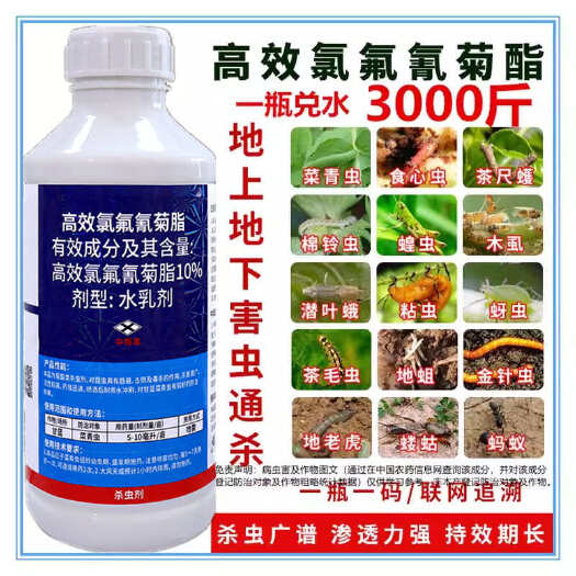 新沂市10%高效氯氟氰菊酯果树蔬菜花卉菜青虫蚜虫潜叶蛾农药杀虫剂