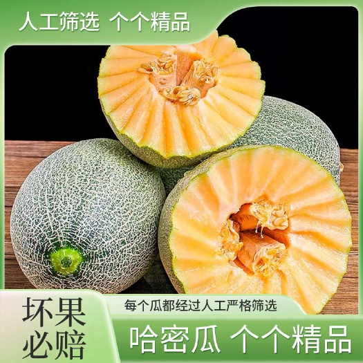 寿光市甜哈密瓜 农家水果新鲜现摘现发甜瓜网纹玲珑蜜瓜 甜蜜多汁批