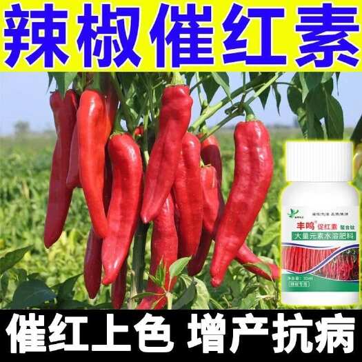 栾川县辣椒一喷红催红剂辣椒专用叶面肥辣椒催红剂抗病增产快速催红膨果