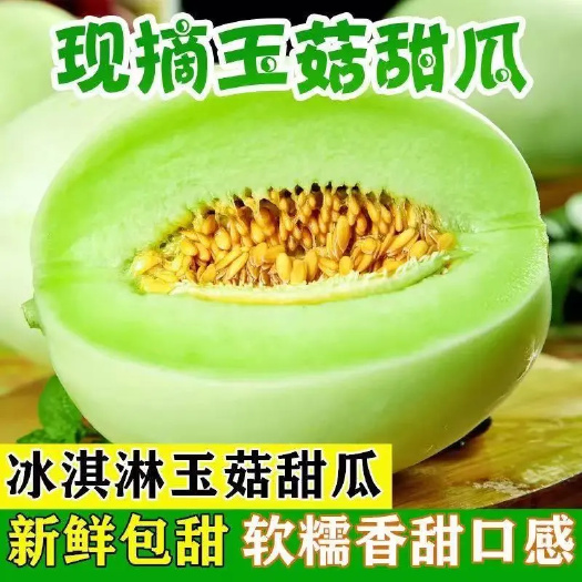 寿光市玉菇甜瓜现摘南汇玉菇甜瓜山东玉姑蜜瓜香瓜脆瓜应季水果
