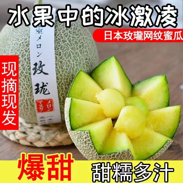 山东网纹蜜瓜软糯香甜带箱1-5个新鲜水果冰糖蜜瓜