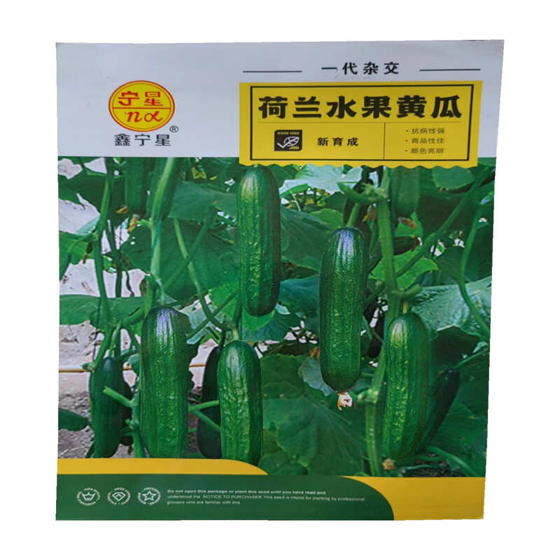 荷兰水果黄瓜种子早熟无刺水果黄瓜种子欧果7号四季旱黄瓜