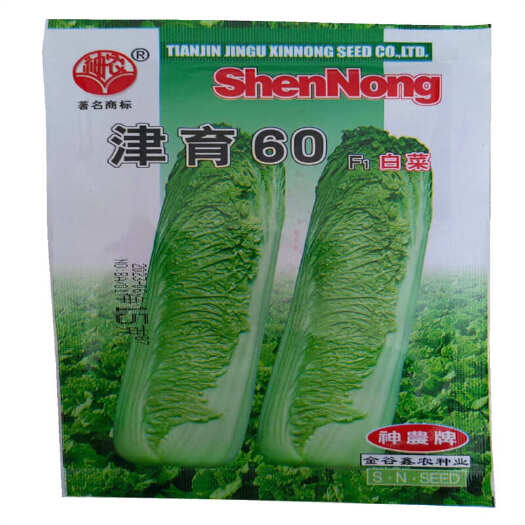 济南津育60/75天青麻叶白菜种子中白76白菜种子抗病高桩直筒