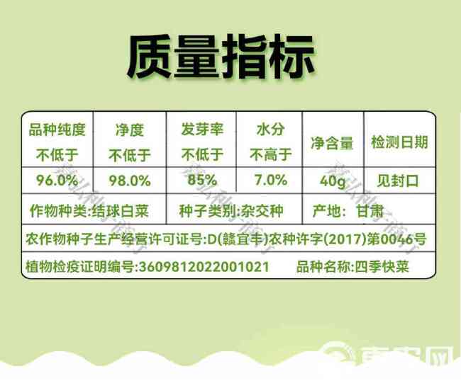 正苑四季快菜籽 可做苗菜、小颗菜和大菜种植 生长速度快适应性