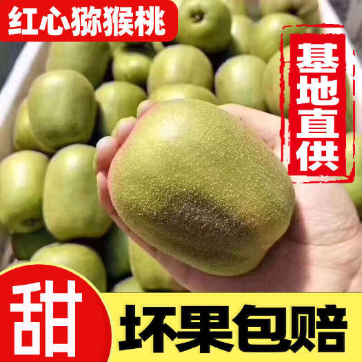 蒲江县四川蒲江猕猴桃红心猕猴桃奇异果新鲜采摘应季水果孕妇整箱批发