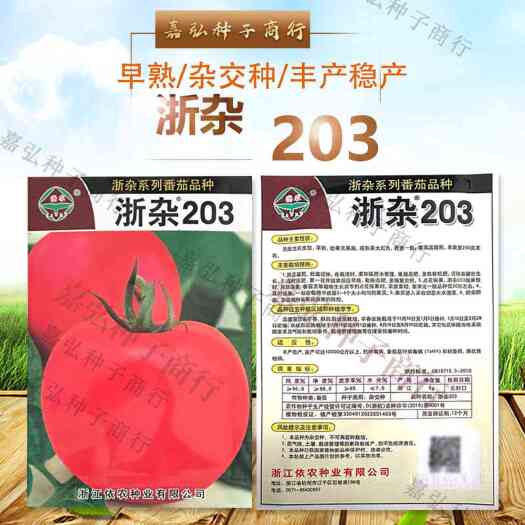 浙杂203番茄种子 无限生长类型 早熟 幼果无果肩丰产稳定抗