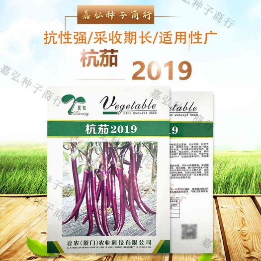 夏农杭茄2019茄子籽 直立紧凑生长势强结果性好 持续采收期