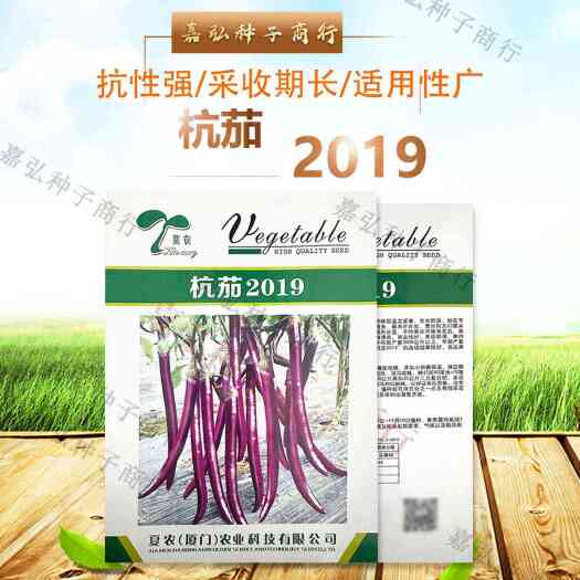 义乌市夏农杭茄2019茄子籽 直立紧凑生长势强结果性好 持续采收期