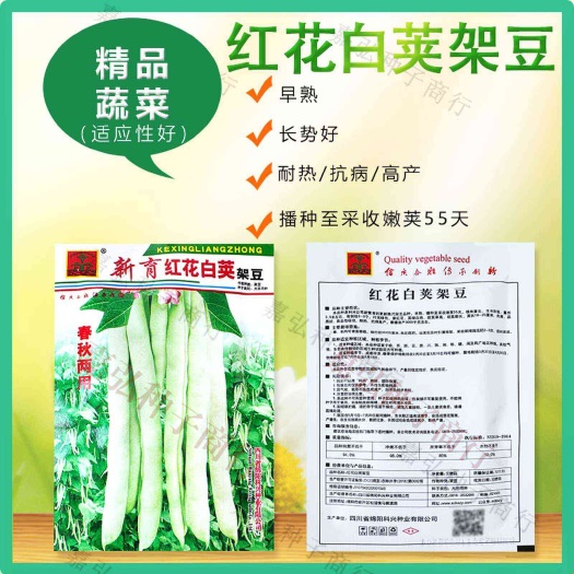 新育红花白荚架豆春秋两用 早熟耐热抗病高产肉厚品质好