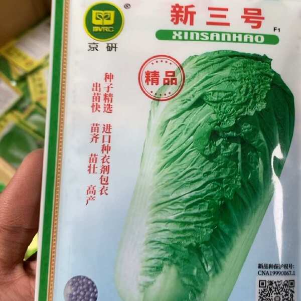 正品京研北京三号大白菜种子冬储白菜好吃大白菜