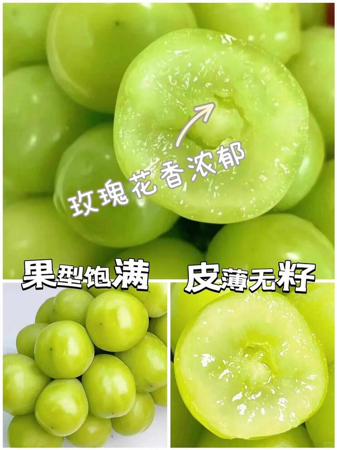 河北陽光玫瑰上市中，果型飽滿皮薄無籽，產(chǎn)地直發(fā)，批發(fā)，代發(fā)