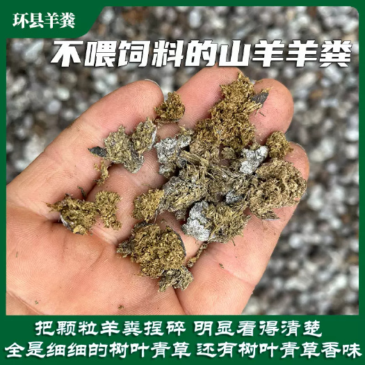 纯干羊粪有粉末有羊粪蛋都有只卖纯货不卖假货包售后诚信合作