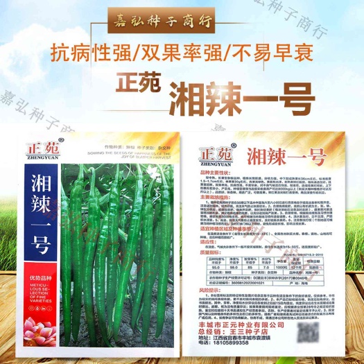 湘辣一号辣椒籽1000粒 长果型条椒 挂果量超群 抗病性强