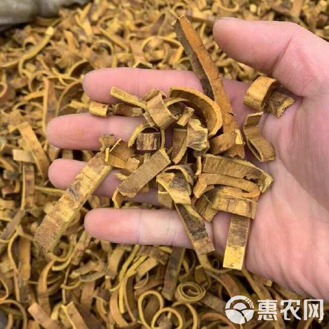 黄柏 黄柏中药材正品厚皮，黄柏皮黄柏老树黄柏保证正品