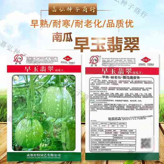 早玉翡翠南瓜耐寒高产 嫩食型花皮小南瓜种子早熟生长快