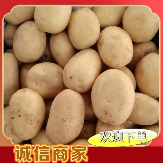 肥城市优质V7沃土希森新土豆大量上市，规格齐全，价格美丽！全国发货