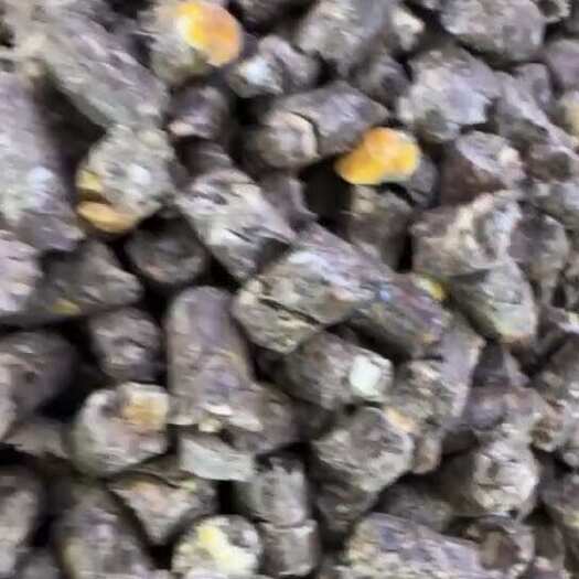 巴彦淖尔牛羊草饲料