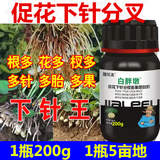 潍坊花生分杈下针剂花生专用下针多窝窝多花生高产增产必用花生叶面肥