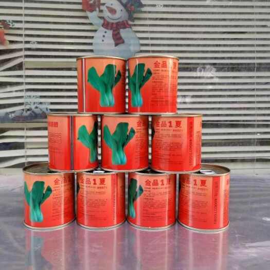 福州金品1夏青梗菜种子 叶片直立 叶色亮绿 耐热耐湿 抗病