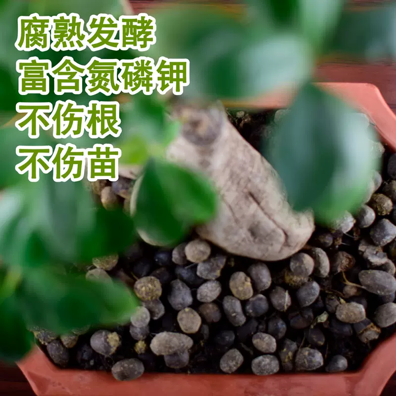 羊粪发酵有机肥花肥纯羊粪蛋粒有机肥料种菜专用蔬菜花卉通用花肥