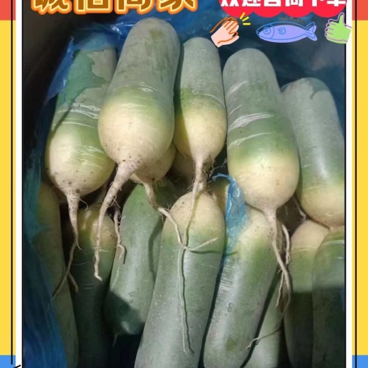 青萝卜 箱装精品水果萝卜大量出售,价格便宜,货源充足!全国