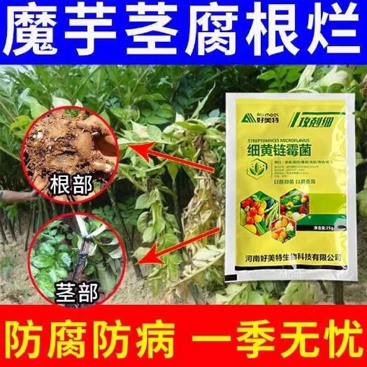魔芋软腐病专用药茎腐病烂叶病烂根病腐烂病全治魔芋病专用杀菌剂