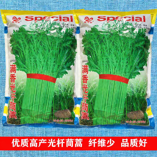寿光市满香光杆茼蒿种子 5斤原装 茎淡绿叶色浓绿 小叶而薄 生长快