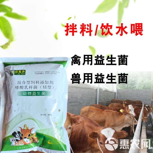 动物益生菌鸡鸭猪牛家禽家畜动物食用菌专用益生菌