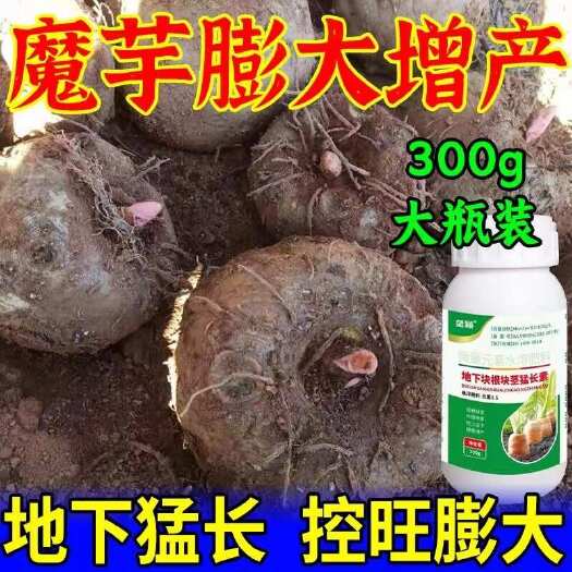 栾川县魔芋专用膨大素地下猛长膨大素控旺增产增收防裂防畸不空心膨果肥