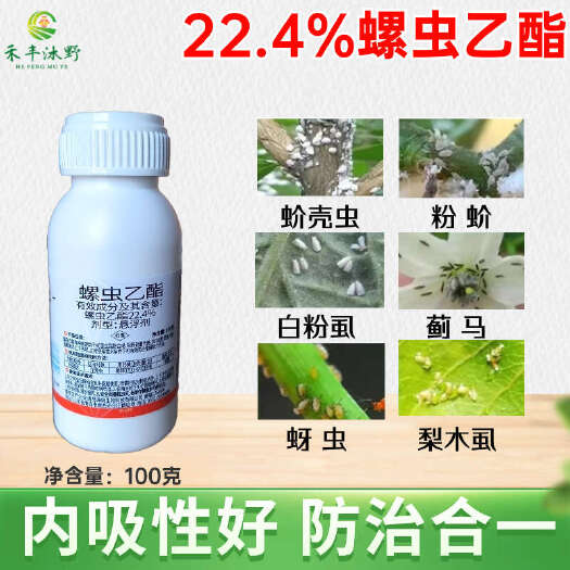 潍坊杀虫剂螺虫乙酯  蚧壳虫蚜虫蓟马等等刺吸式害虫专用喷雾低毒农