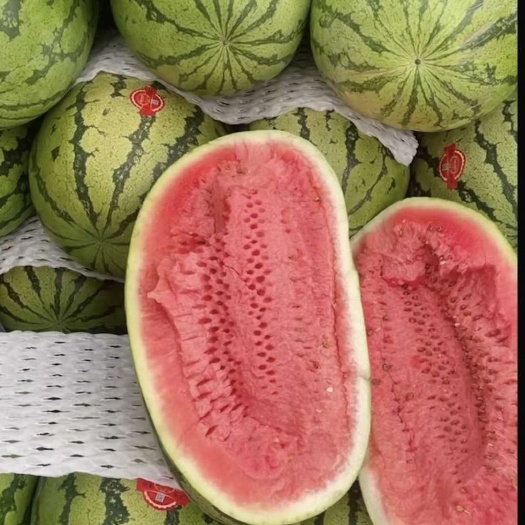 宁夏硒砂瓜,宁夏石头瓜大量上市了个大皮薄味甜