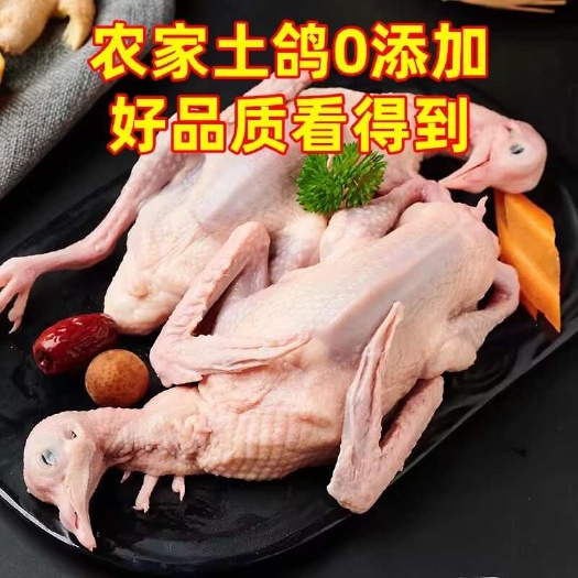 佛山散养鸽子乳鸽新鲜宰杀速冻冷链发货拒绝激素