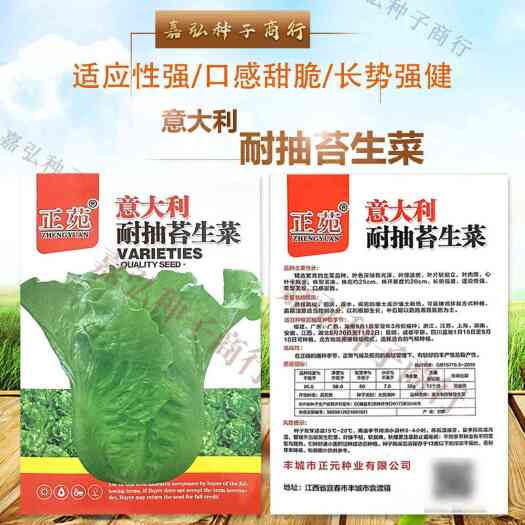 义乌市意大利耐抽苔生菜种子 株高约25cm 长势强健适应性强 口感