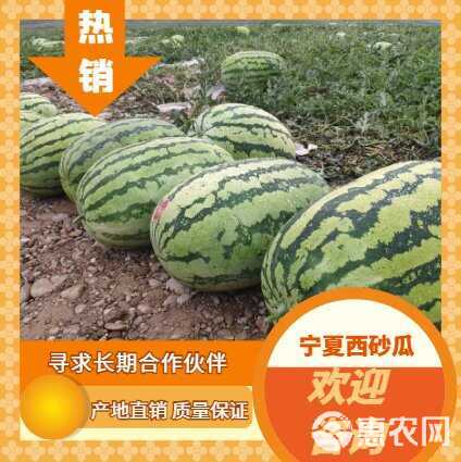 宁夏中卫头茬硒砂瓜大西瓜新鲜应季水果水果整箱30斤